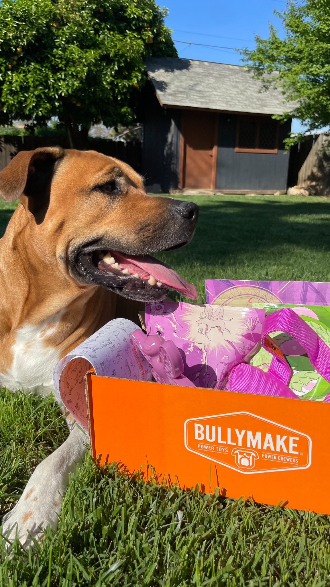 BULLYMAKE Facebook ad