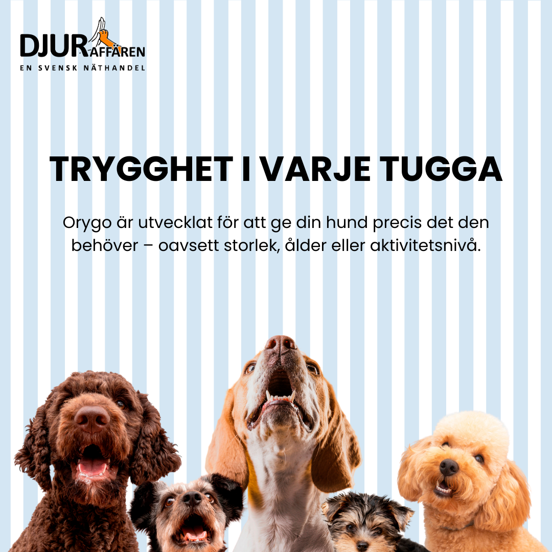 Djuraffären Facebook ad: ORYGO - Ett unikt, färskare och mer naturligt…