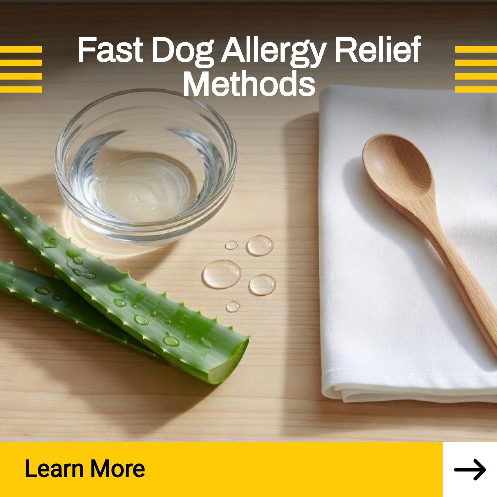 Icananswerthat Alignify Facebook ad: Fast Dog Allergy Relief Methods