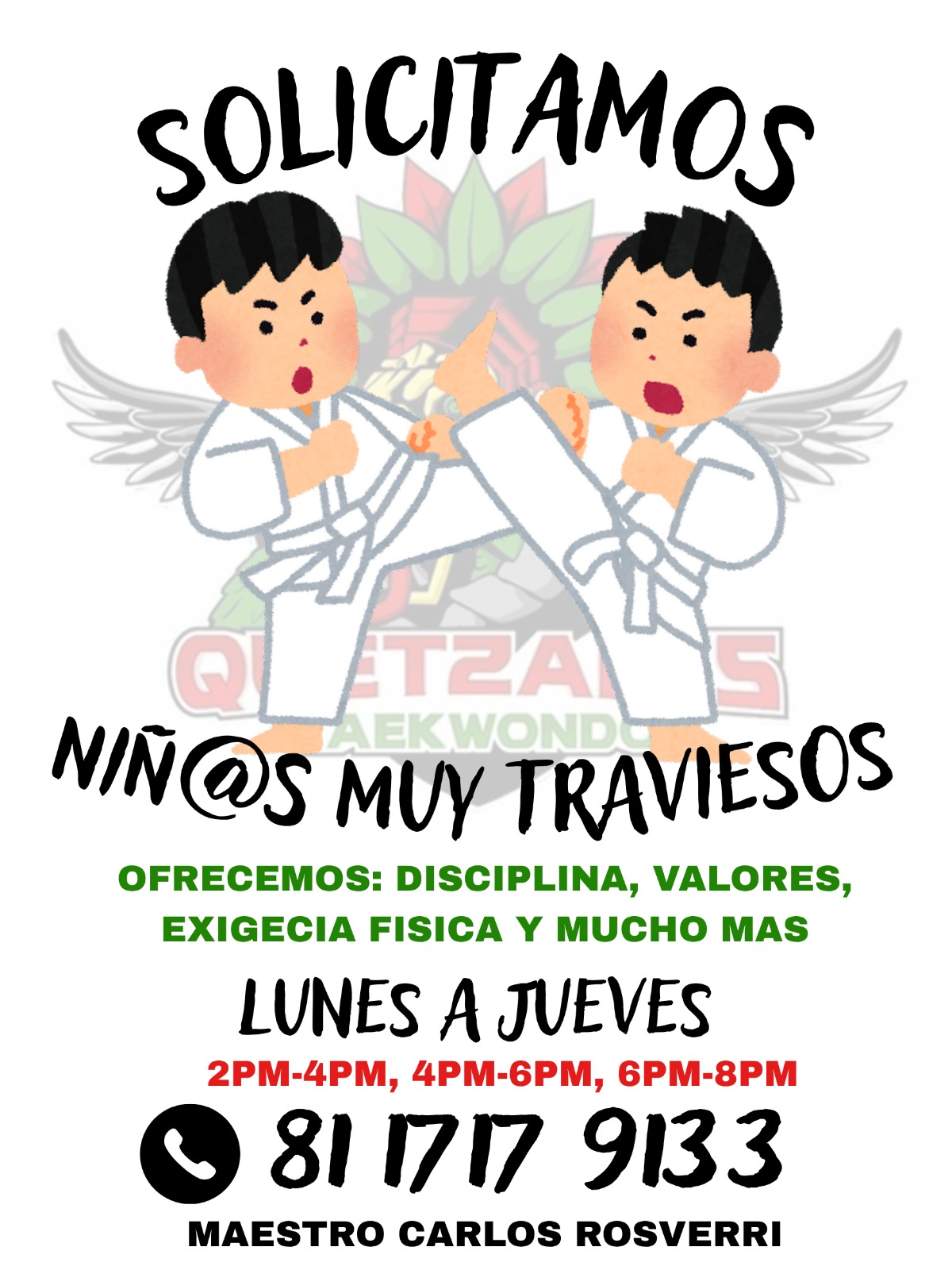 Quetzales Taekwondo 태권도 Facebook ad