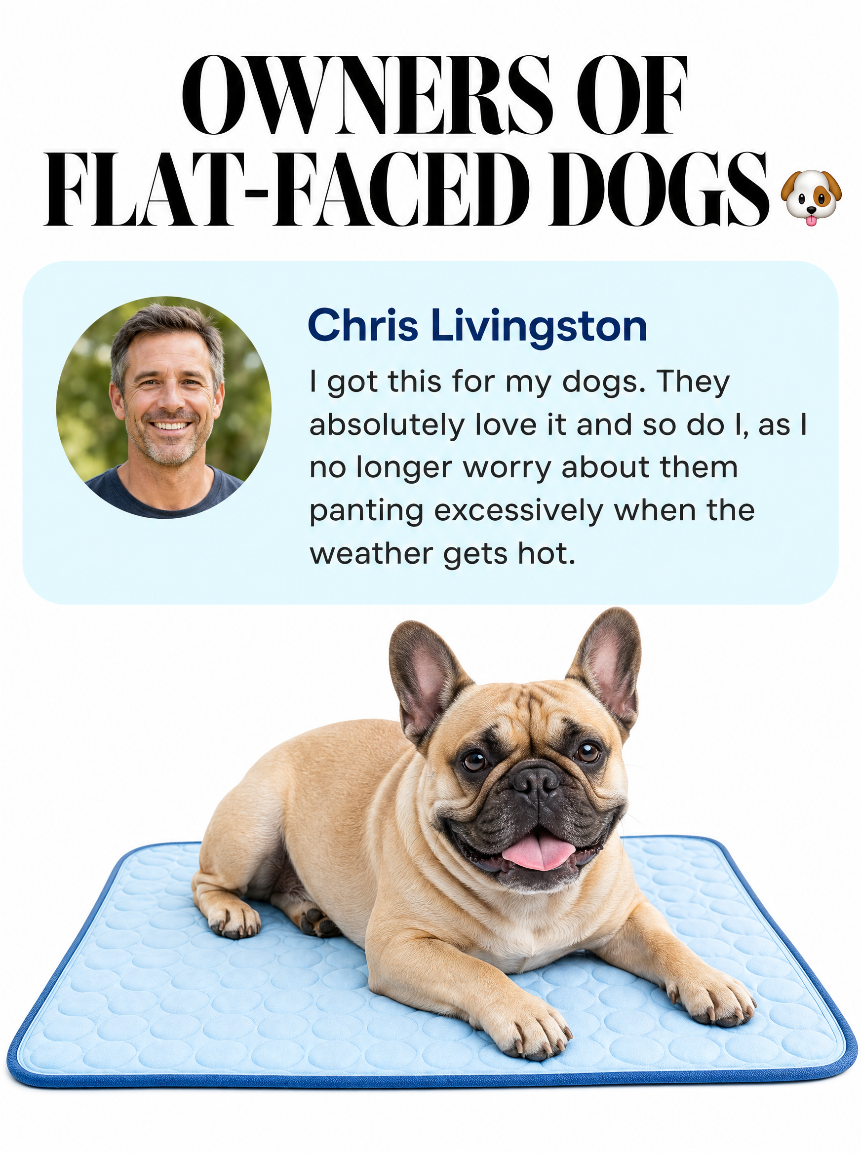 Rhykin Pet Co Facebook ad