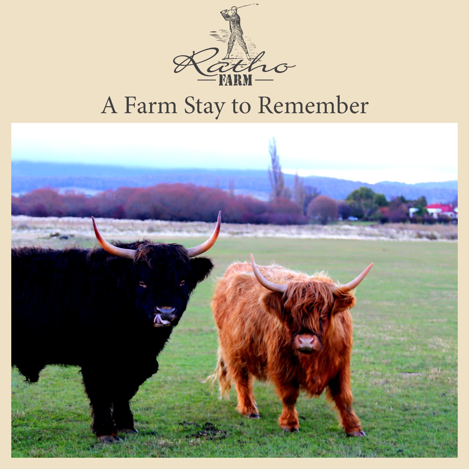 Ratho Farm Facebook ad: Book Your B&B Stay Today