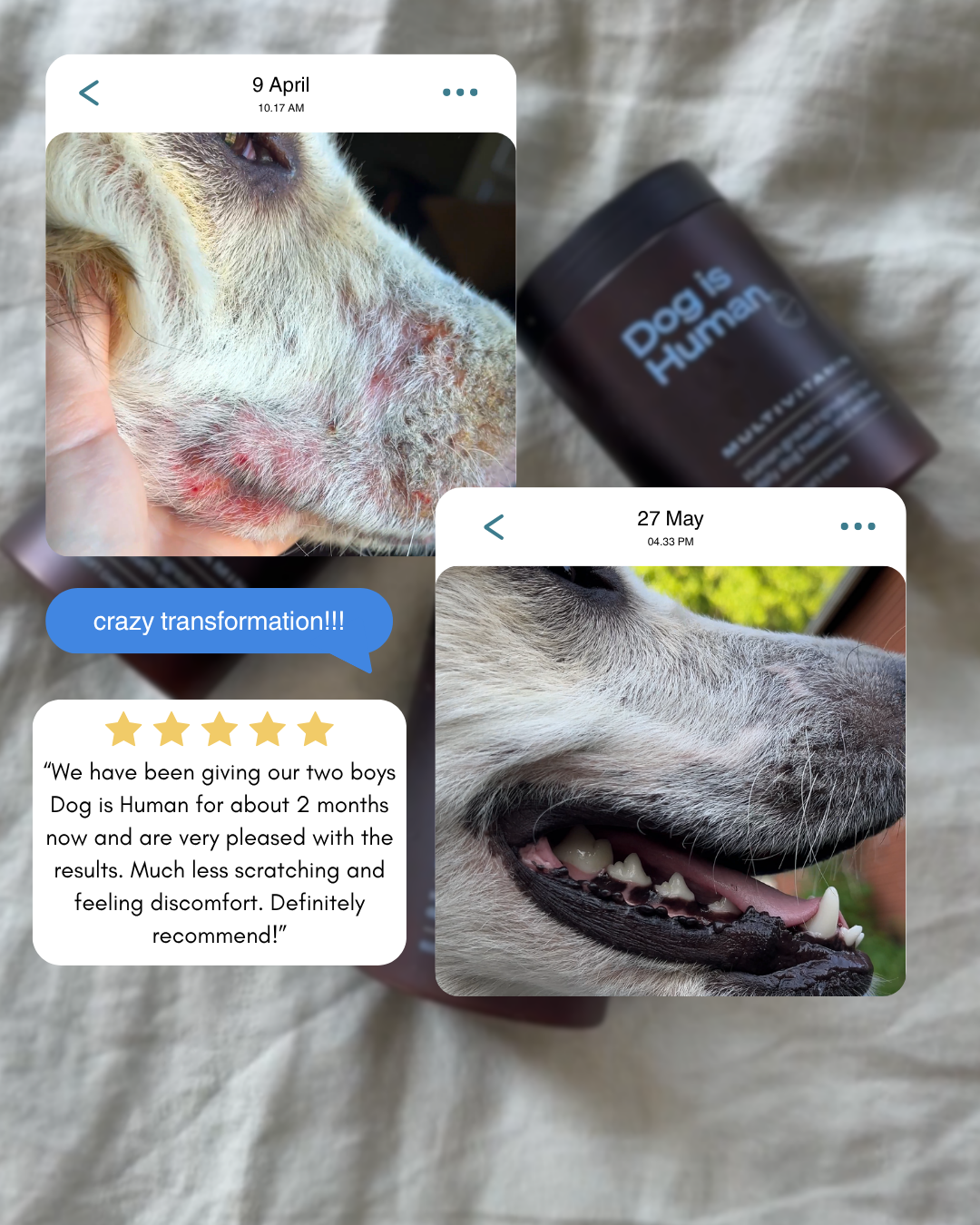 Dog is Human Facebook ad