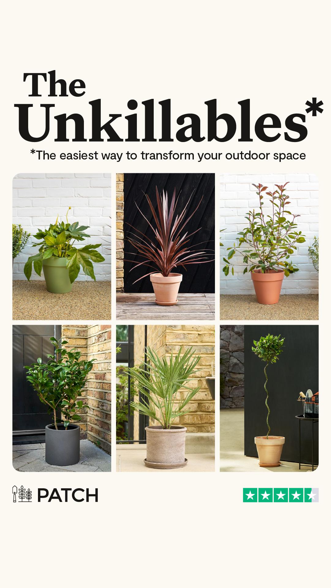 Patch plants Facebook ad