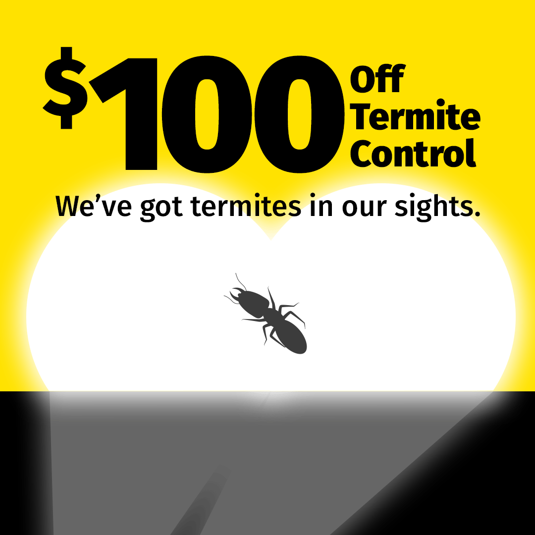 Truly Nolen Pest & Termite Control Facebook ad