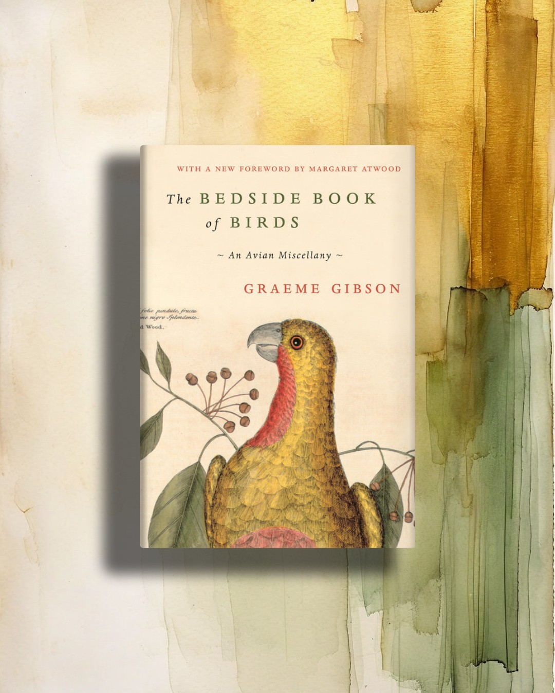 Doubleday Books Facebook ad: Perfect for birders