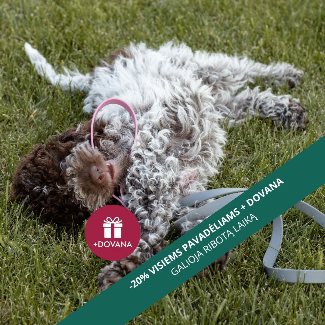 Sweet Pet Facebook ad: RIBOTĄ LAIKĄ -20% + DOVANA!