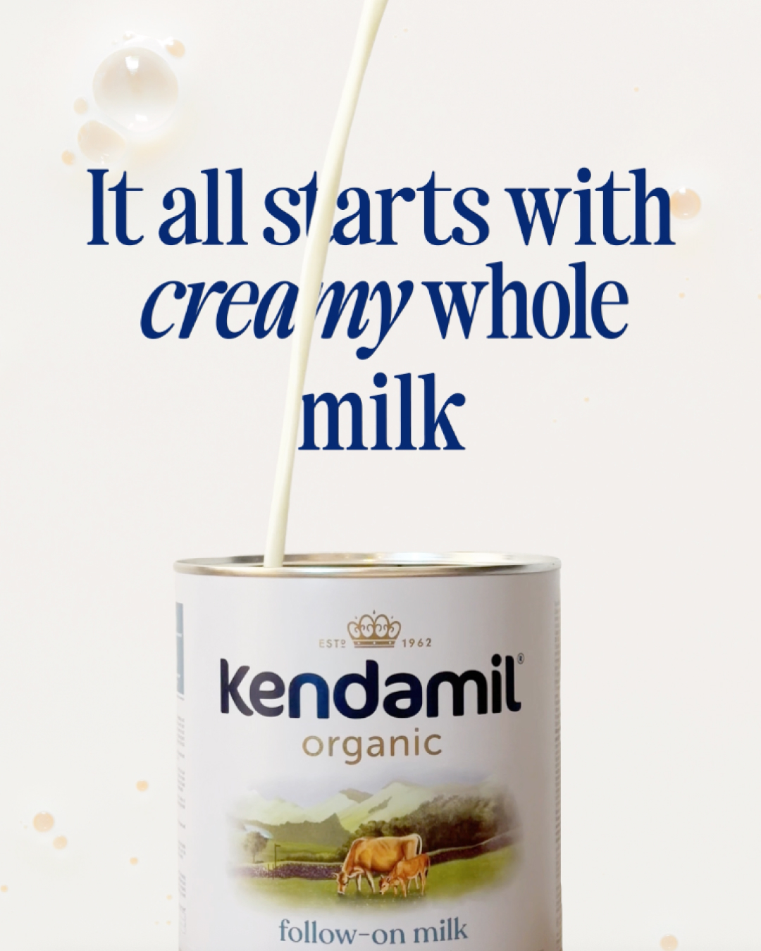 Kendamil Facebook ad