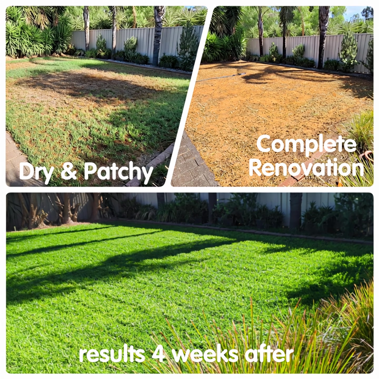 Northside Lawn Solutions Facebook ad: Is your lawn struggling after winter?