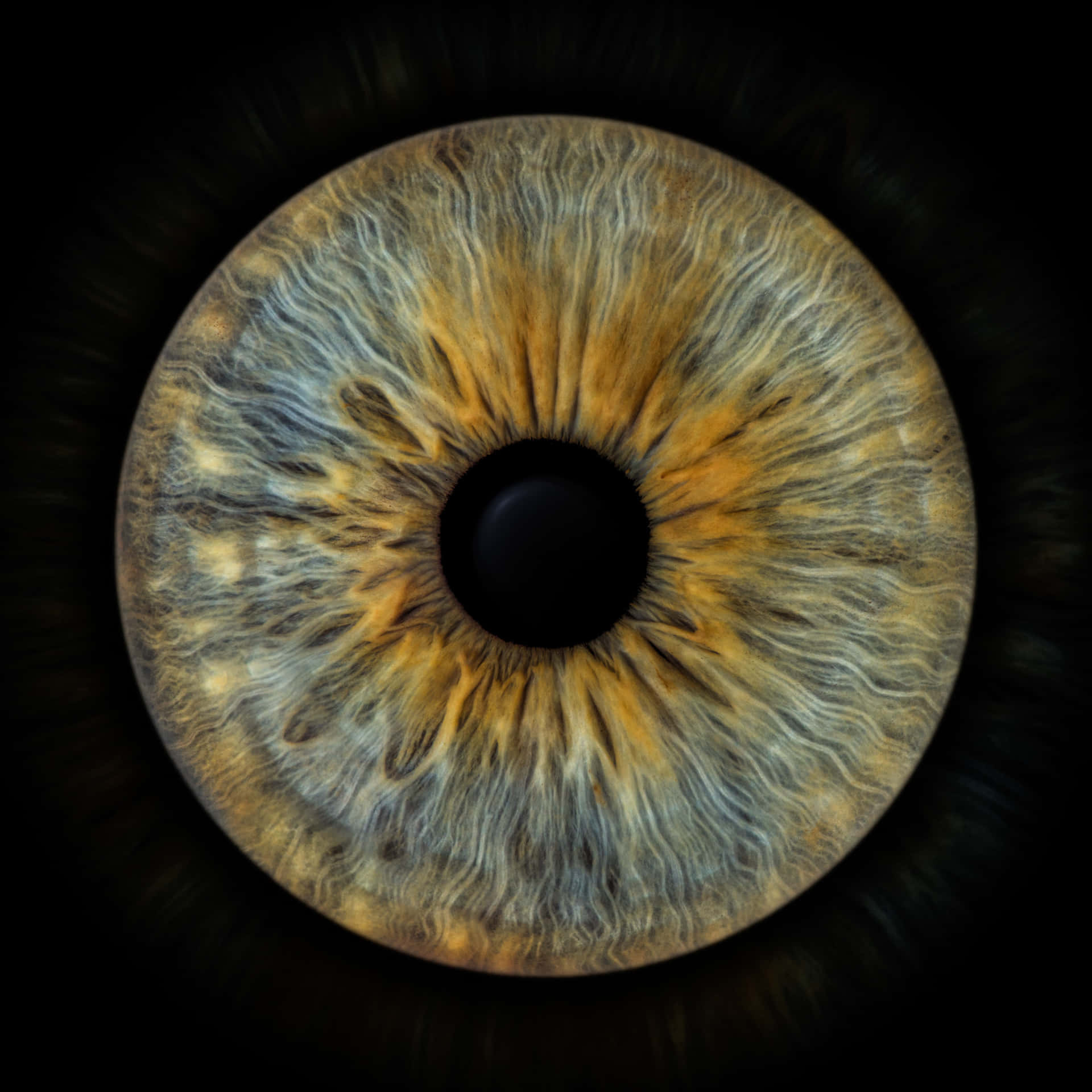 Amber Bailey Facebook ad: Protect Vision, Boost Clarity