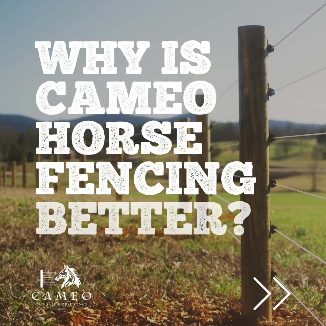 Cameo Fencing: The Safe Horse Fencing System Facebook ad from Feb 18, 2026