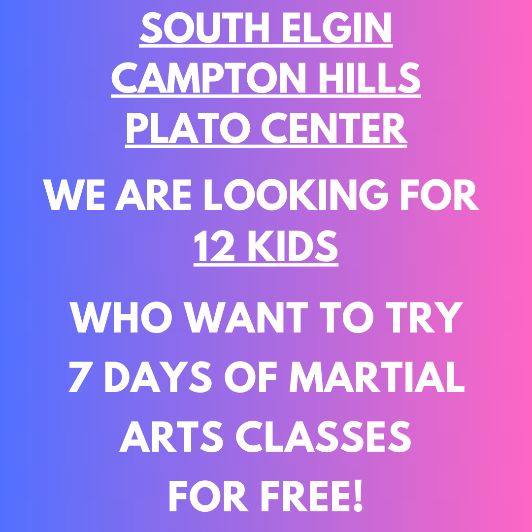 Premier Martial Arts Facebook ad