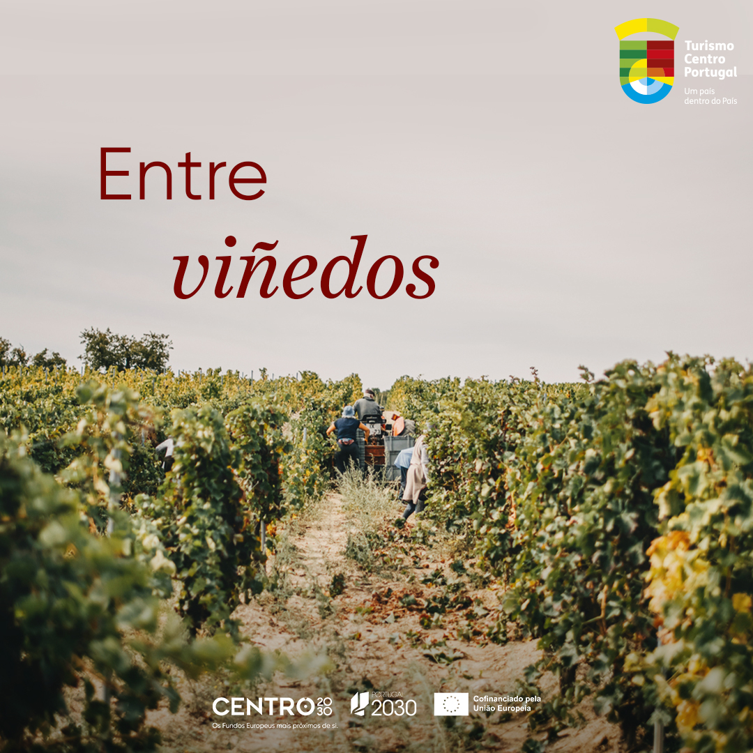 Turismo Centro de Portugal Facebook ad: Descubre el Centro de Portugal a través de…