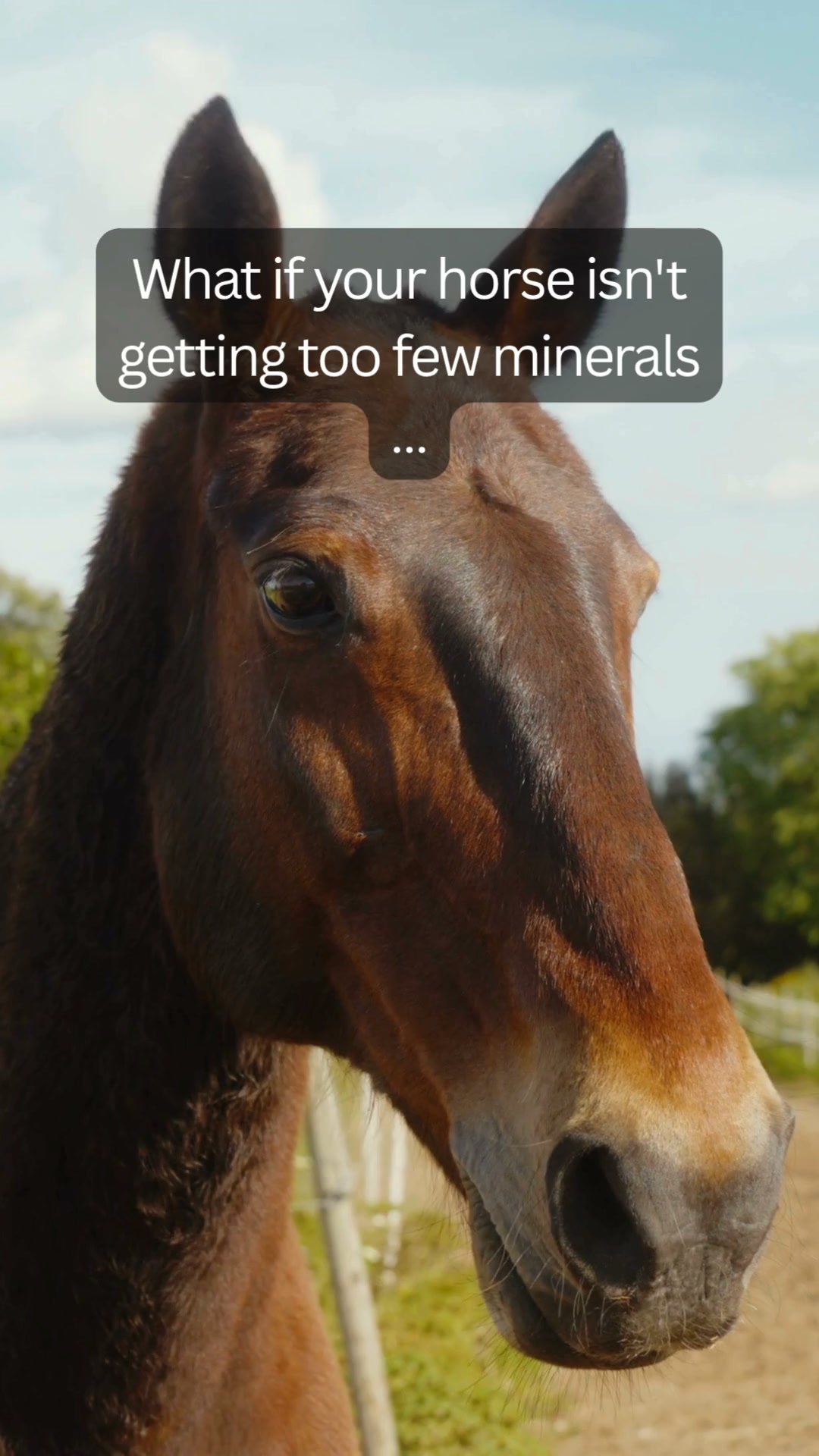 Expert Horse Secret Facebook ad: For a truly healthy horse