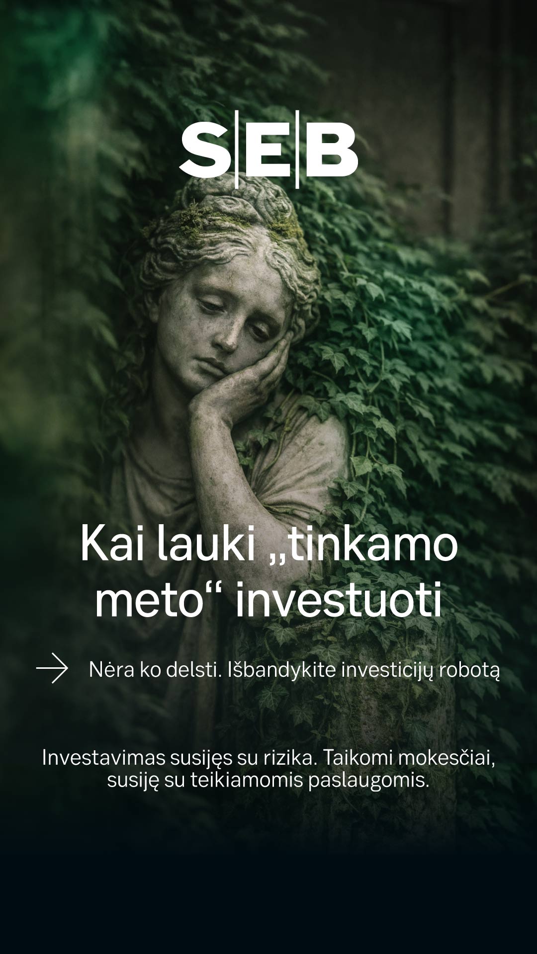 SEB Lietuvoje Facebook ad