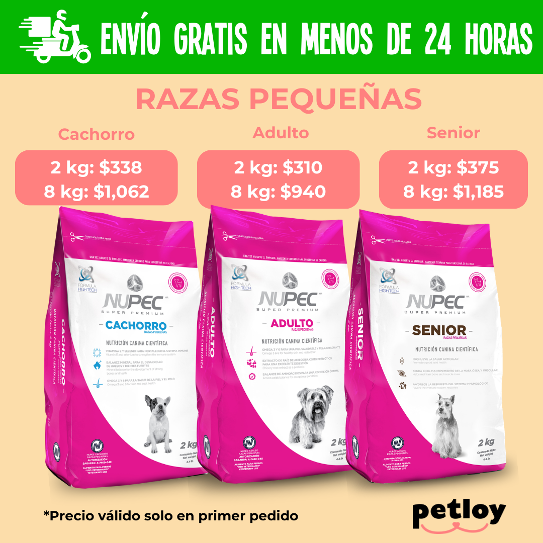 Petloy Monterrey Facebook ad