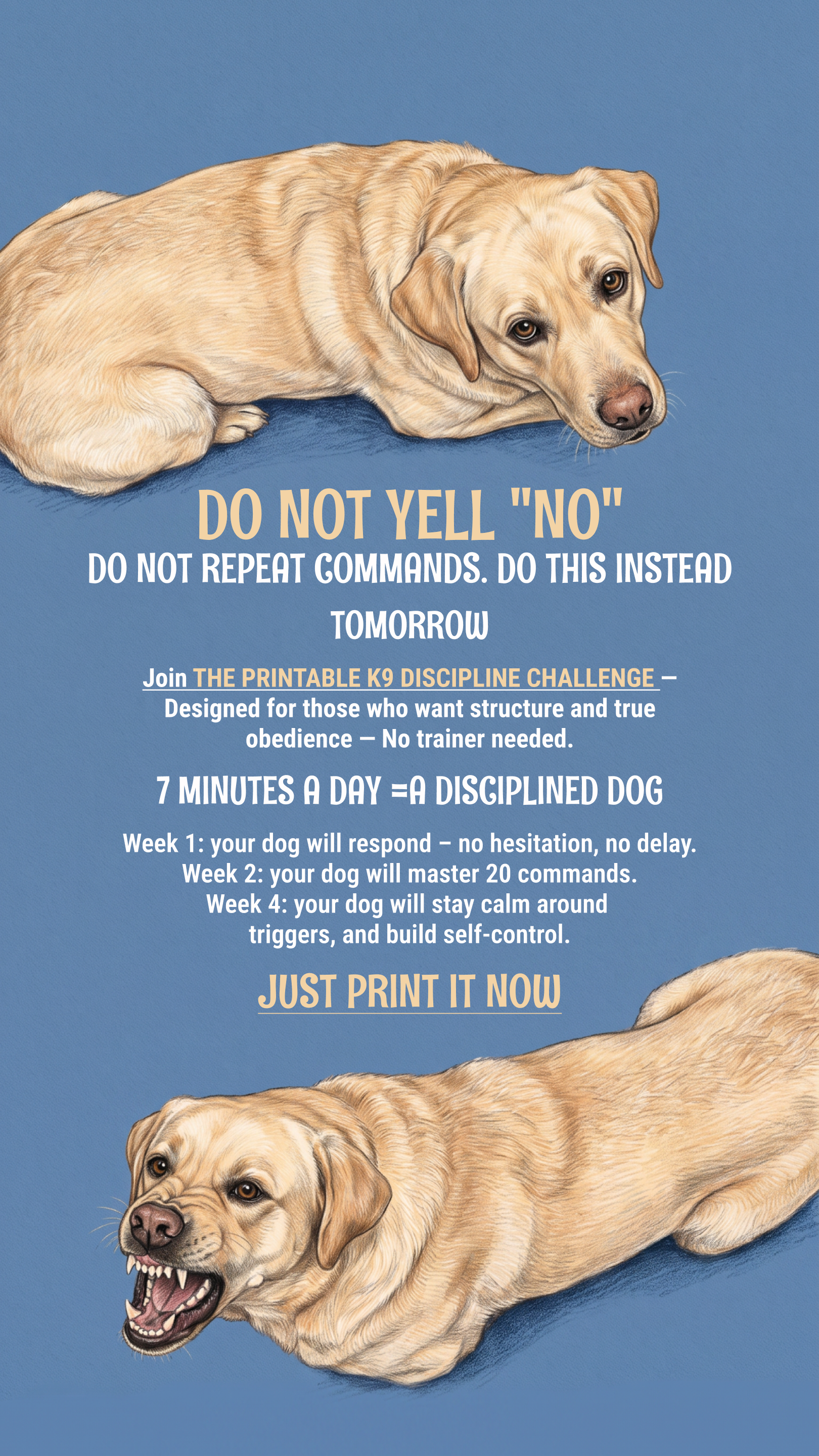 Dog Training Program Facebook ad: Take the lead. Start now