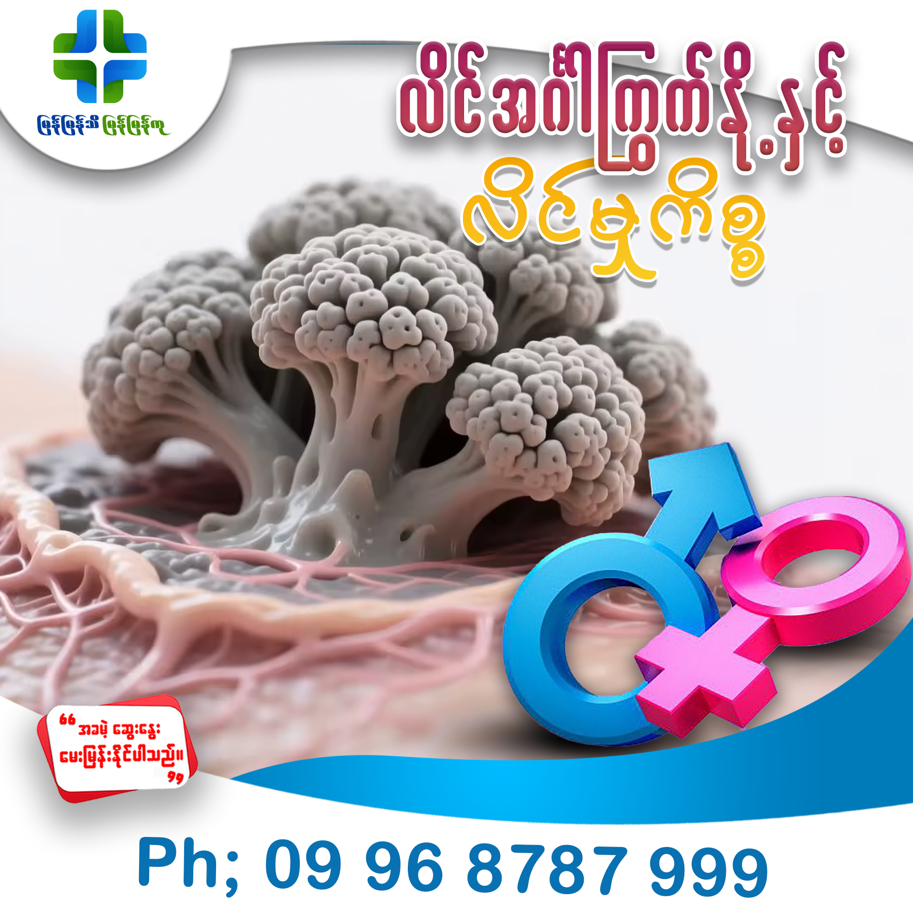 အမျိုးသမီးရောဂါအထူးကုဆေးရုံ Facebook ad: လိင်အင်္ဂါကြွက်နို့ဟာ HPV (Human Papillomavirus) ဆိုတဲ့…