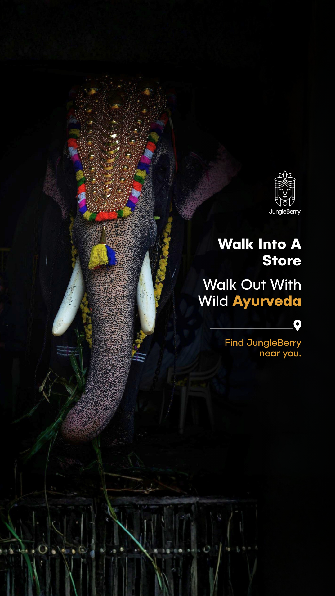 JungleBerry Facebook ad from Jul 15, 2026