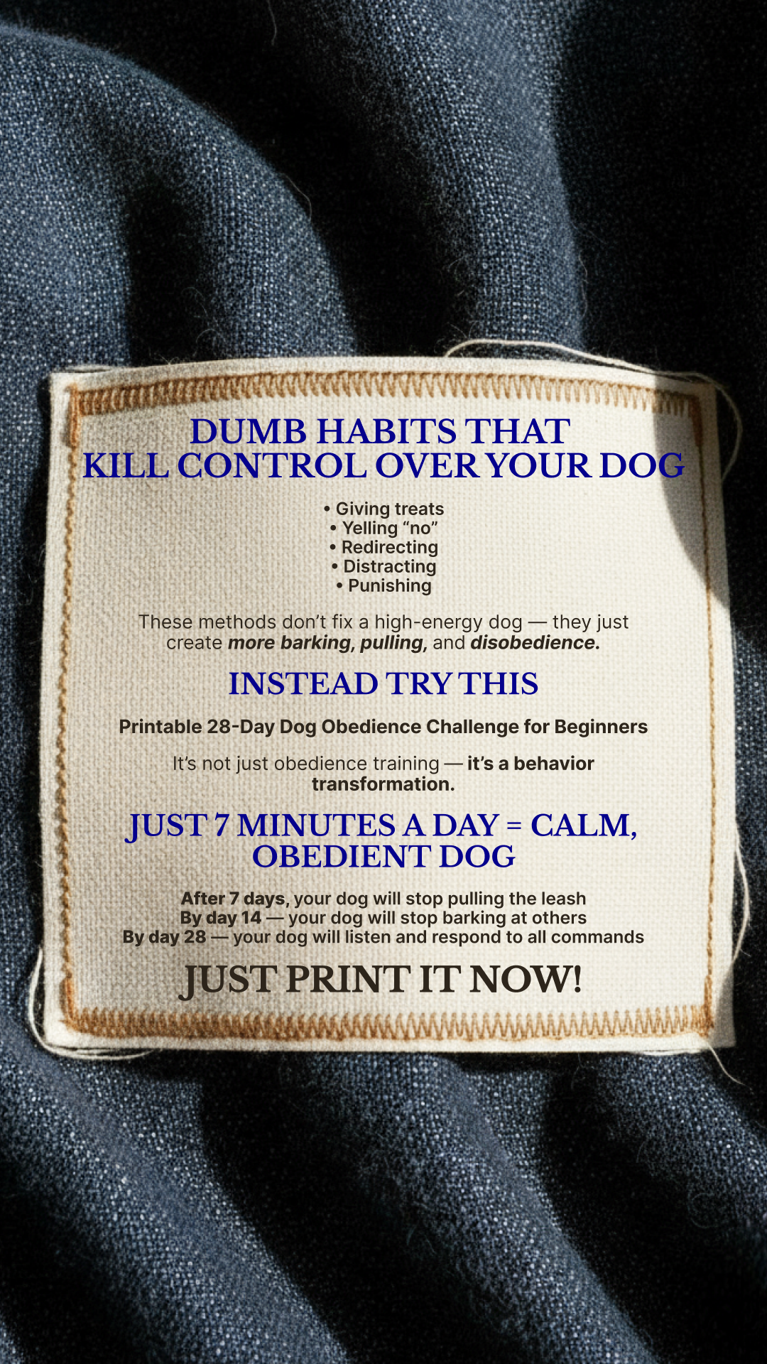 28 Day Dog Obedience Challenge Facebook ad