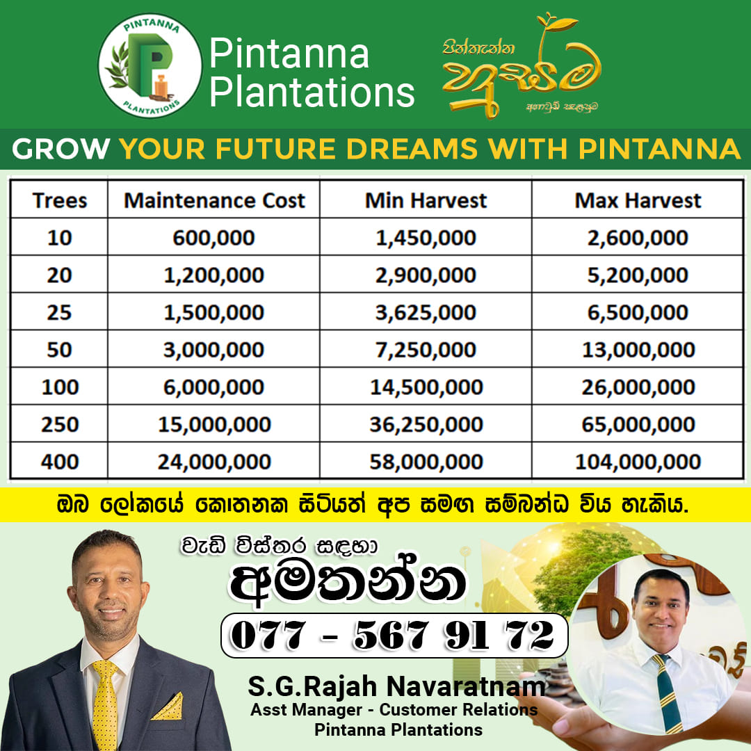 S.G.Rajah Navaratnam Facebook ad: පින්තැන්න හුස්ම අගාවුඩ් ආයෝජනය