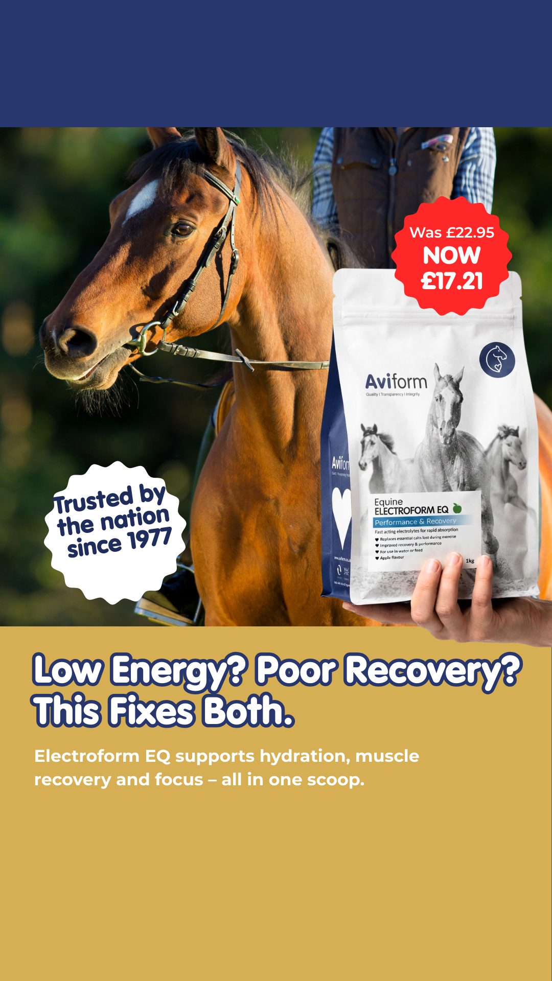 Aviform Nutrition UK - Horse & Dog Facebook ad