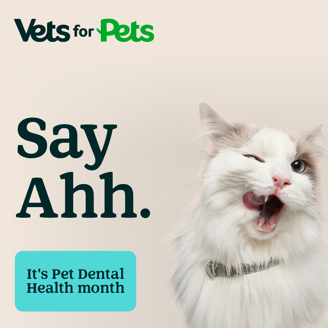 Pets UK Facebook ad