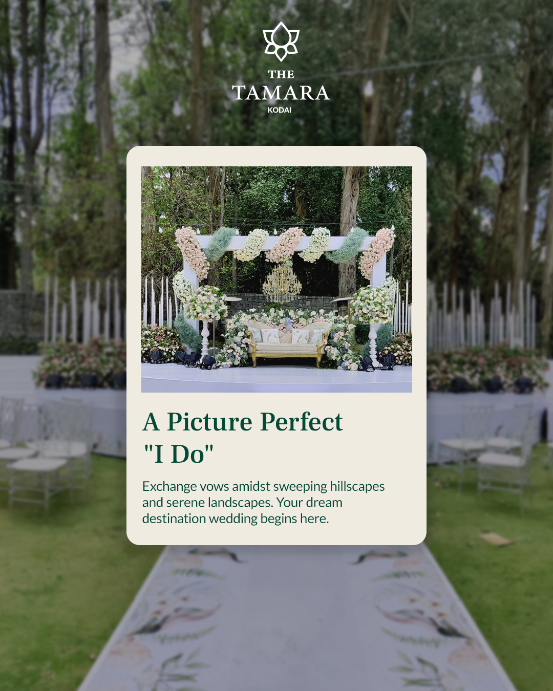 The Tamara Kodai Facebook ad