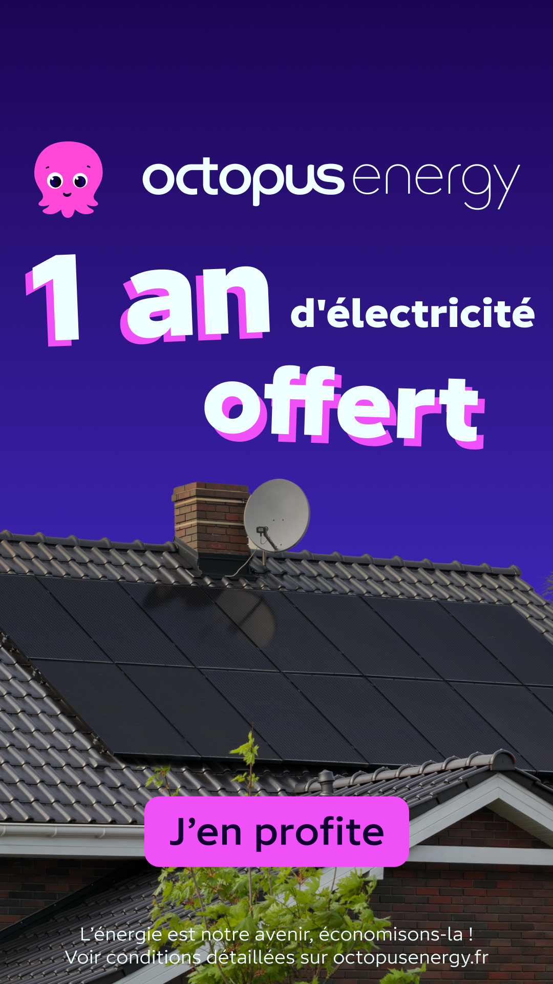 Octopus Energy Facebook ad