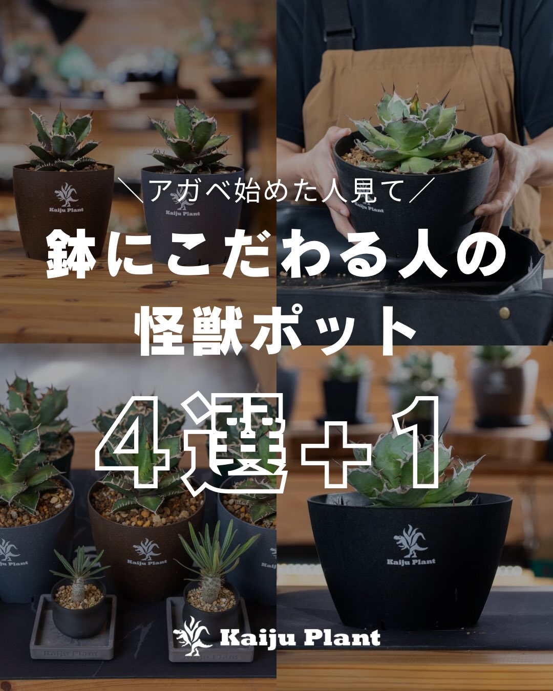 Kaiju_Plant Facebook ad: 「鉢、結局何を基準に選べばいいの…?」