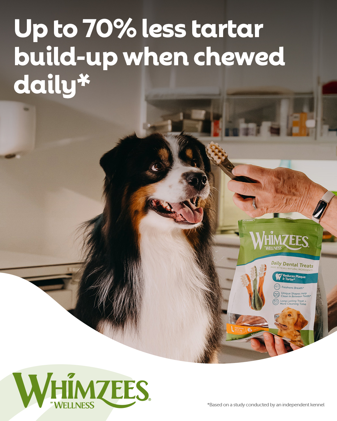 Whimzees Dental Dog Treats Facebook ad: Up to 70% less tartar build-up thanks to…