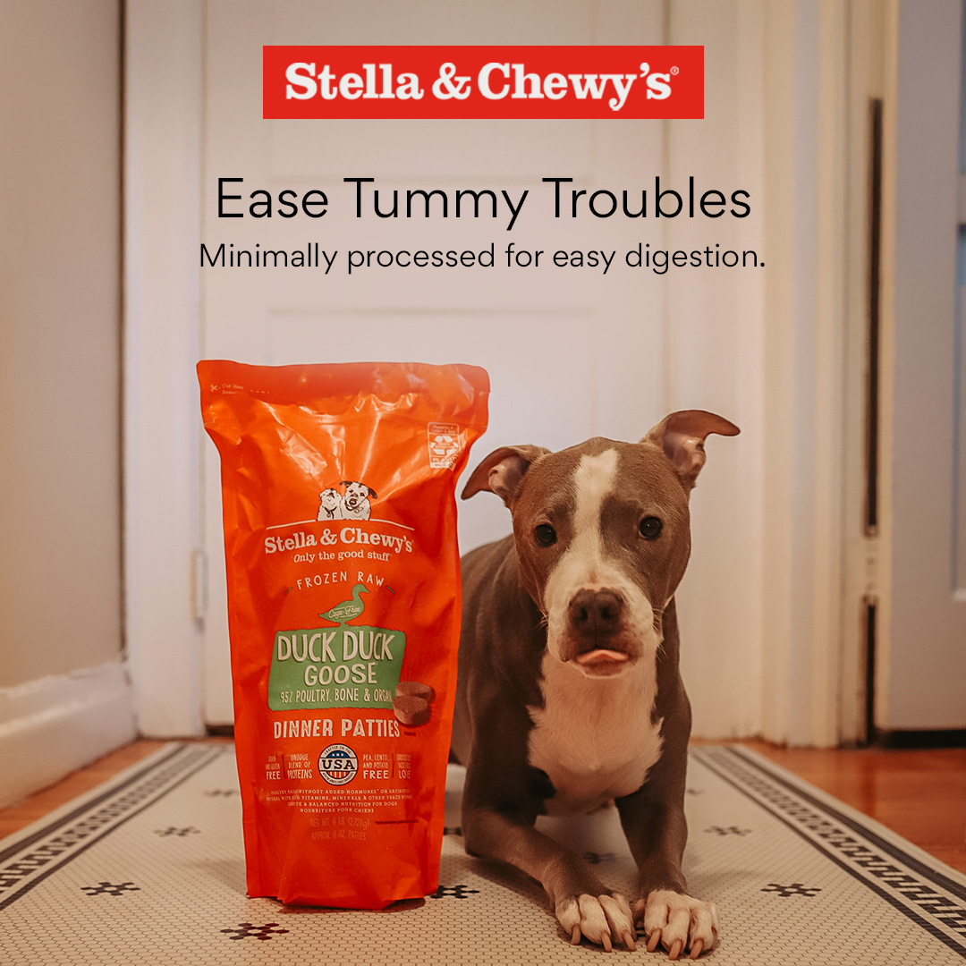 Chewy Facebook ad