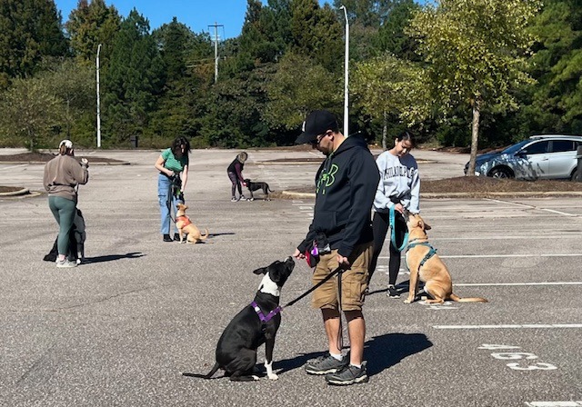 Training Your Best Friend LLC Facebook ad