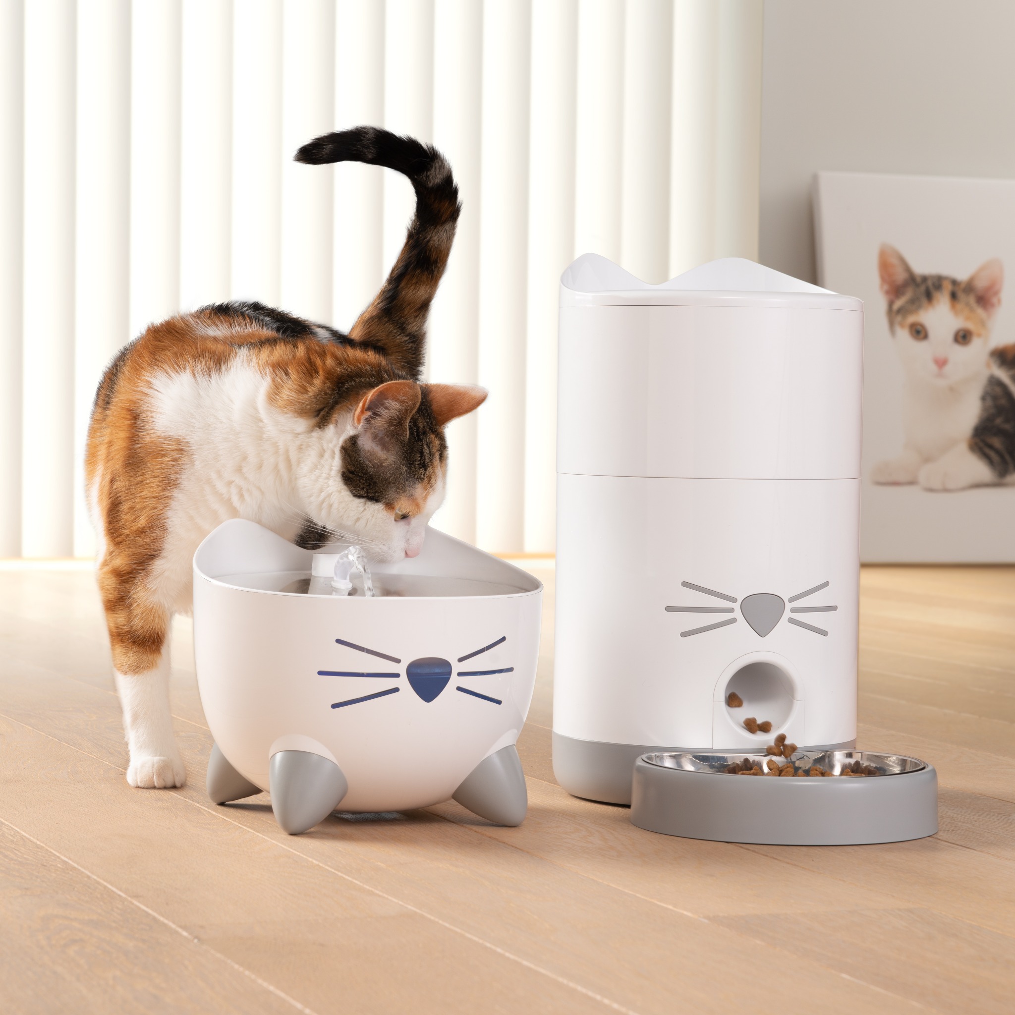 Catit Canada Facebook ad