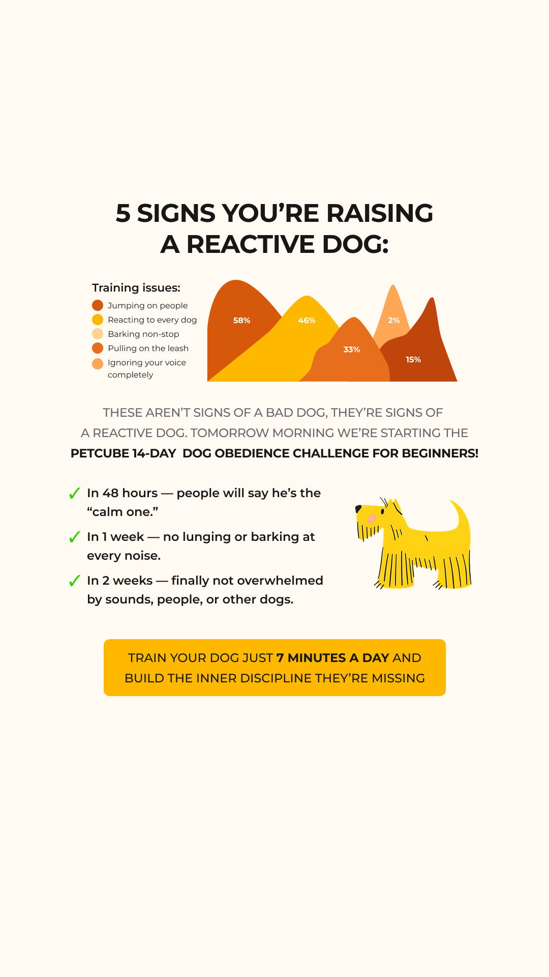 Petcube Facebook ad