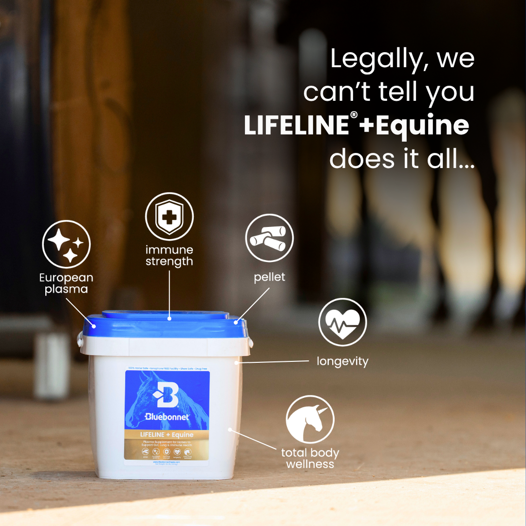 Bluebonnet Facebook ad