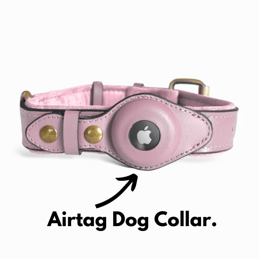 Collar Spot Facebook ad