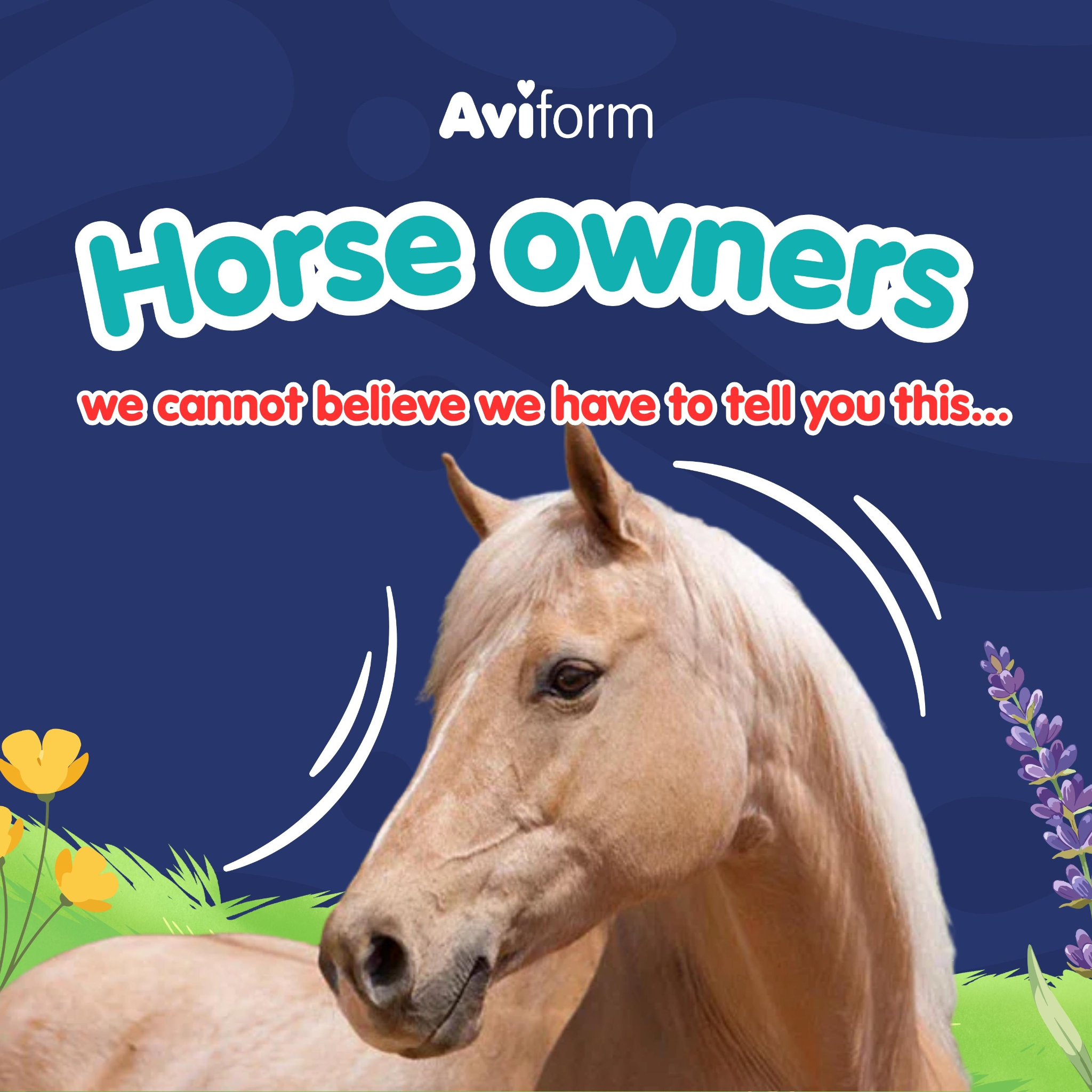 Aviform Nutrition UK - Horse & Dog Facebook ad