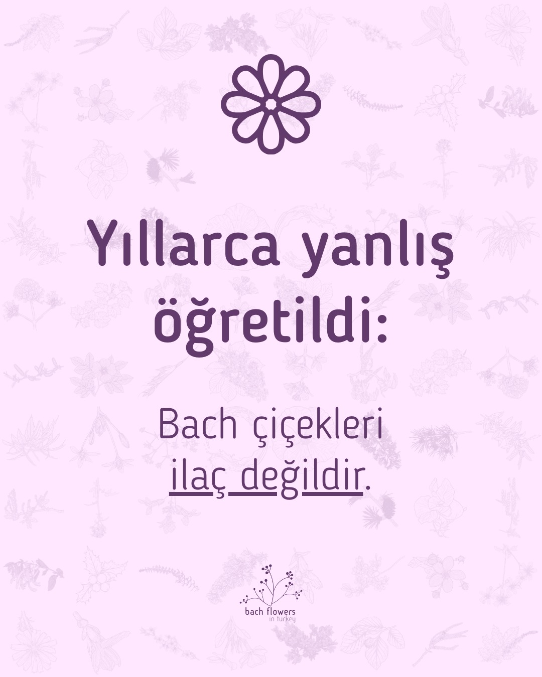 Bach Flowers In Turkey Facebook ad: Bach çiçekleri denince çoğu kişinin aklına bitkisel ilaç…