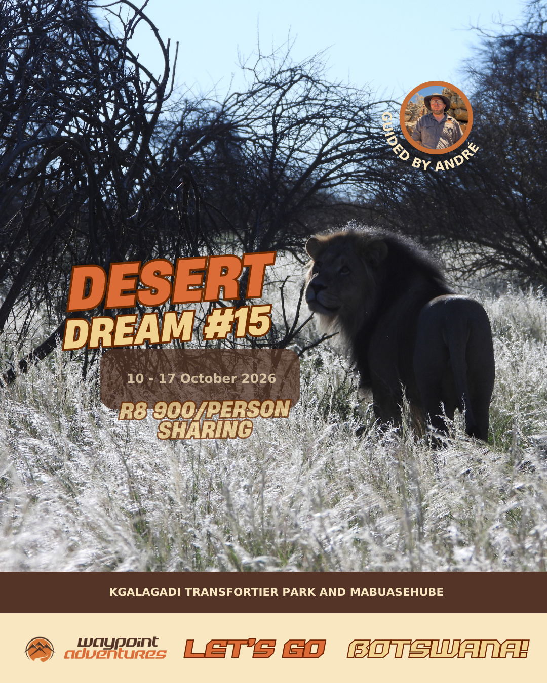Waypoint Adventures - Your Overlanding Partner Facebook ad