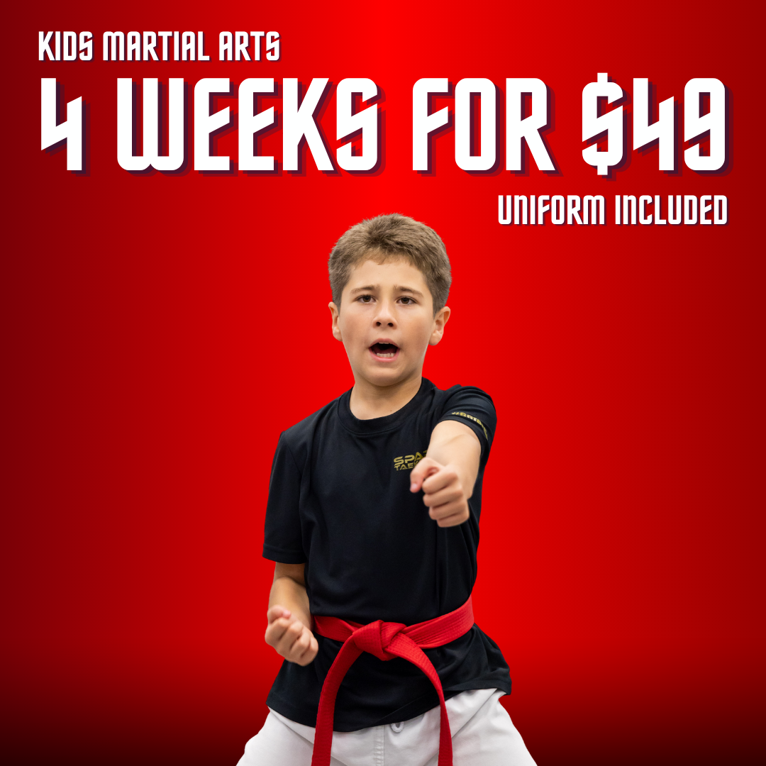 Sparks Taekwondo Facebook ad