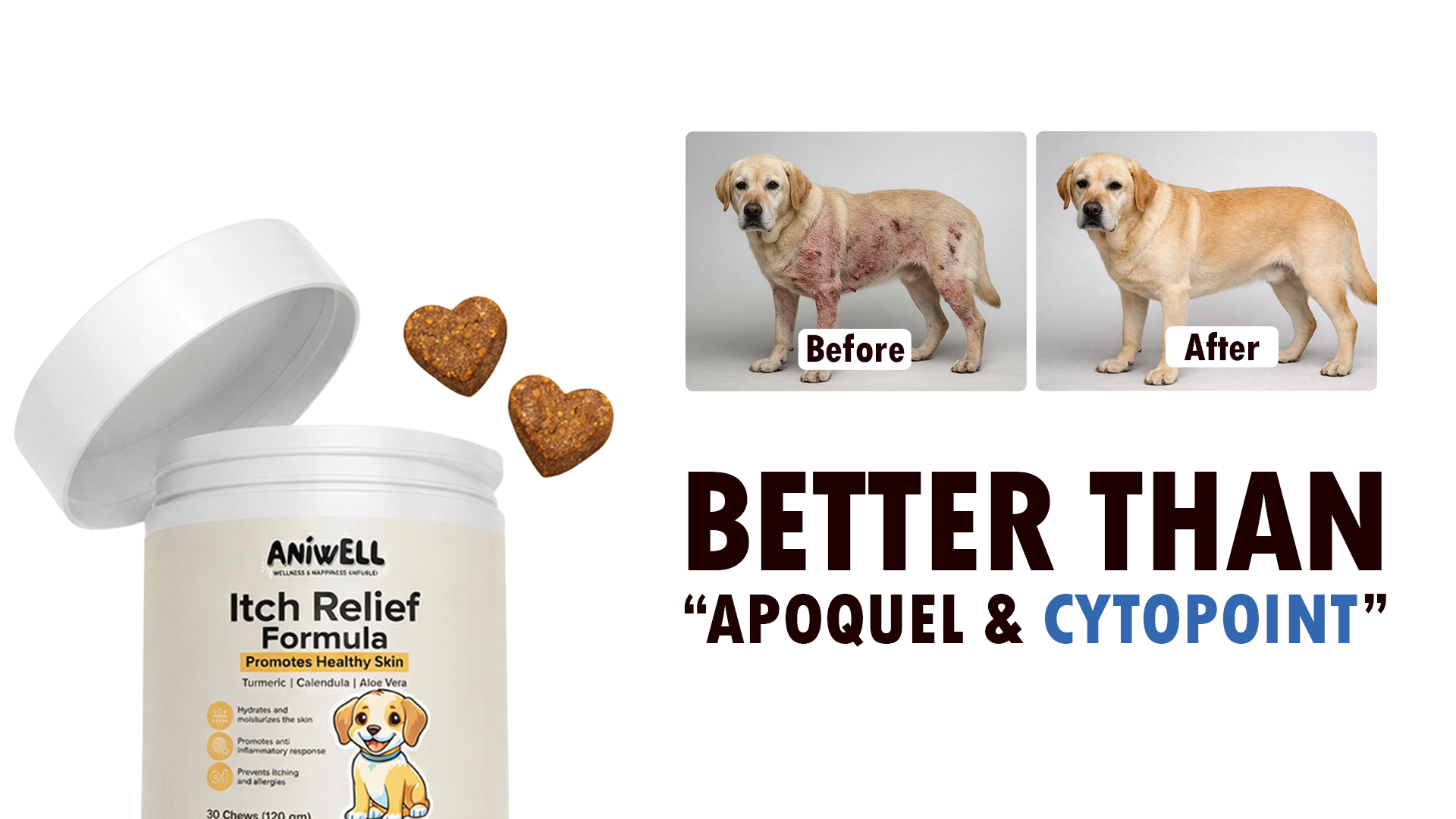 Get Aniwell Facebook ad