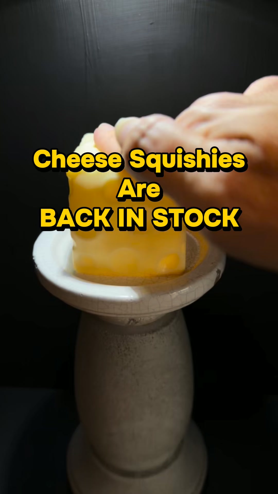 The Sensory Poodle Facebook ad: BACK IN STOCK