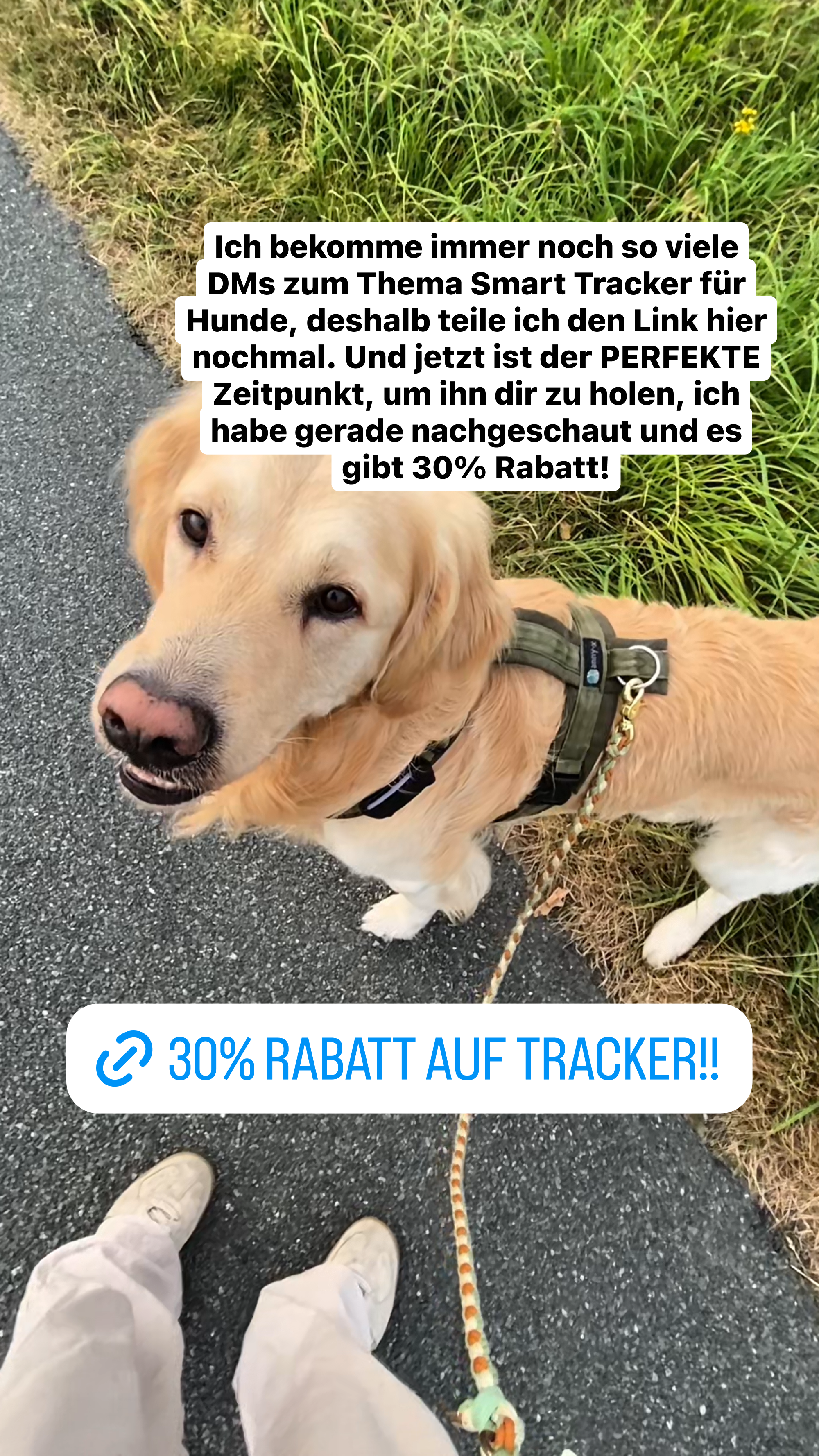 Tractive Facebook ad