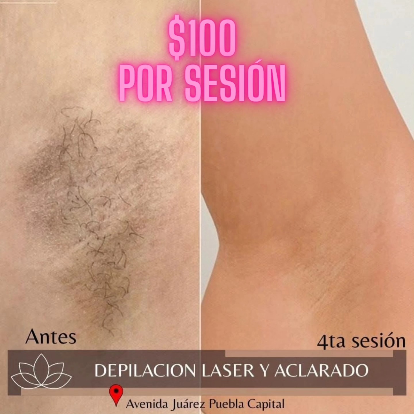 Tadeo Milo Facebook ad