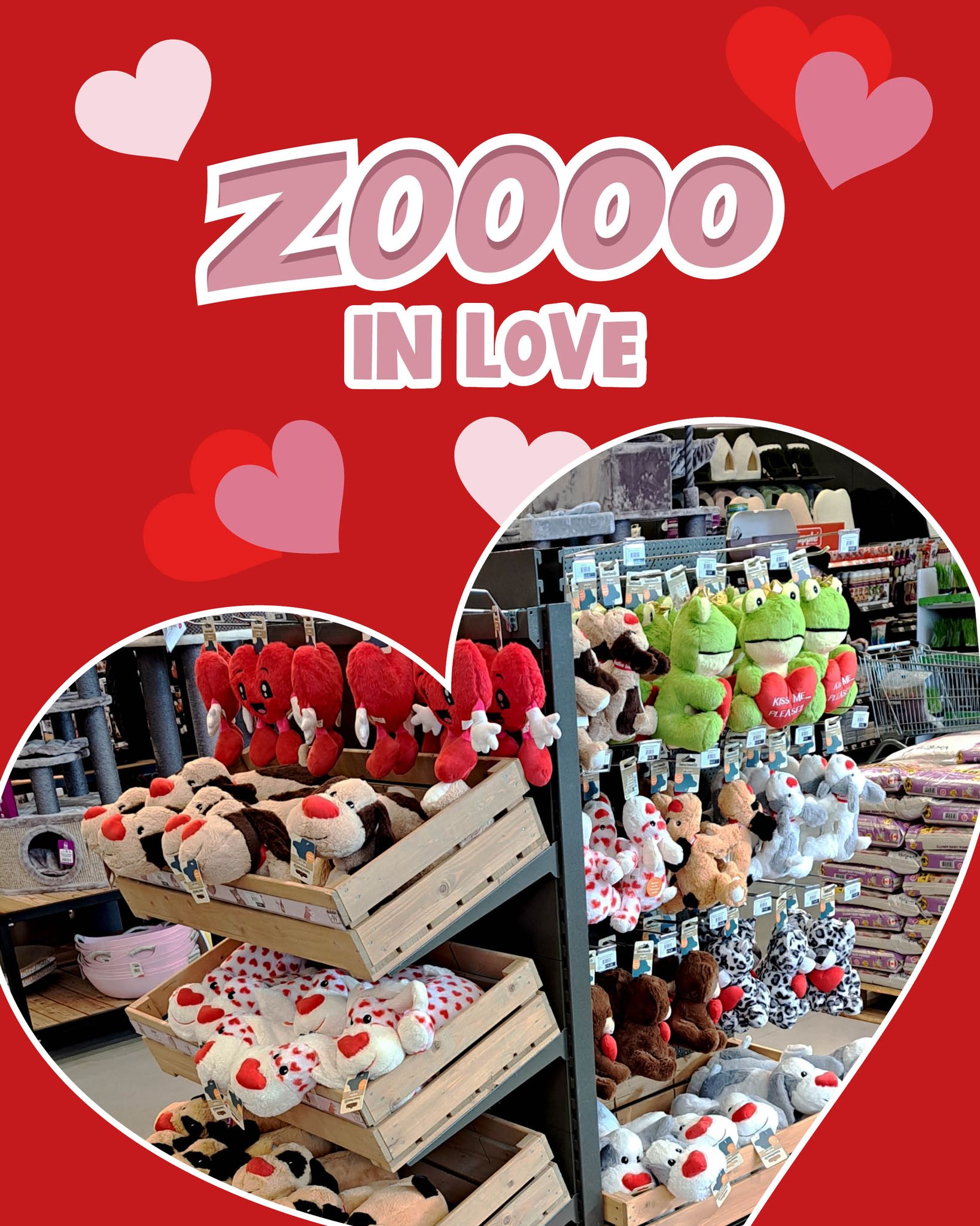 Duponzoo Facebook ad
