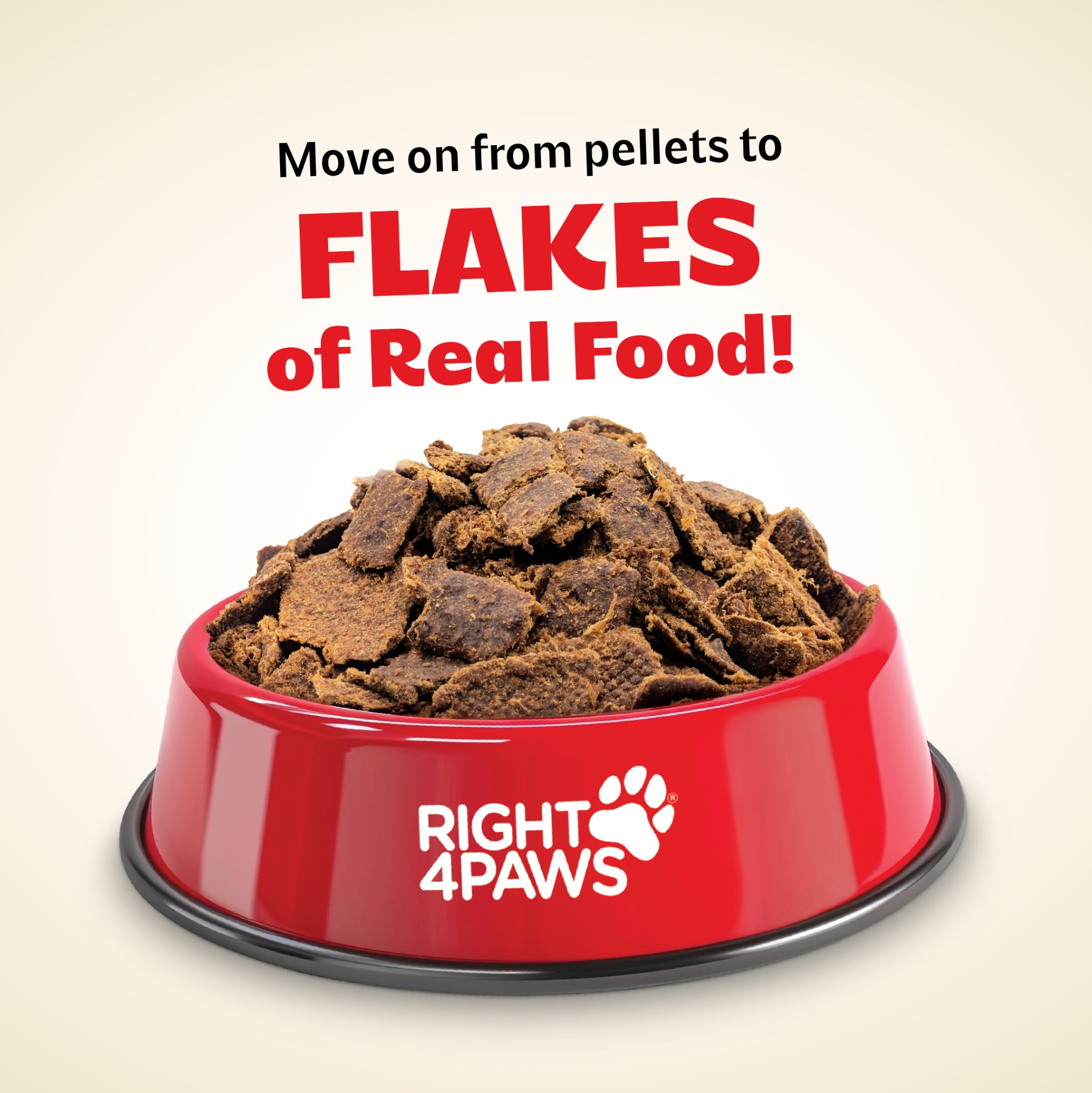 Right4pawsofficial Facebook ad: Get 10% OFF + Free Delivery and upgrade…