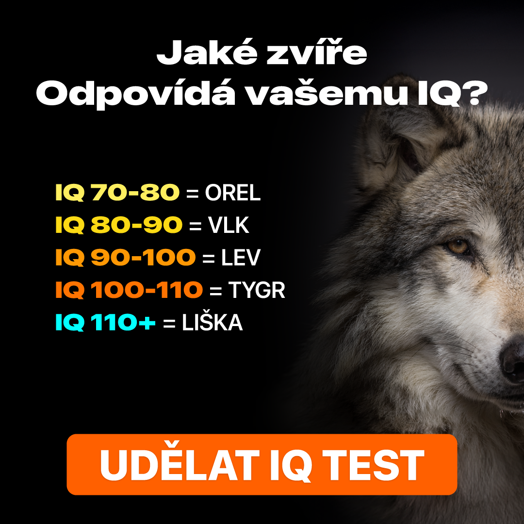 My IQ Facebook ad