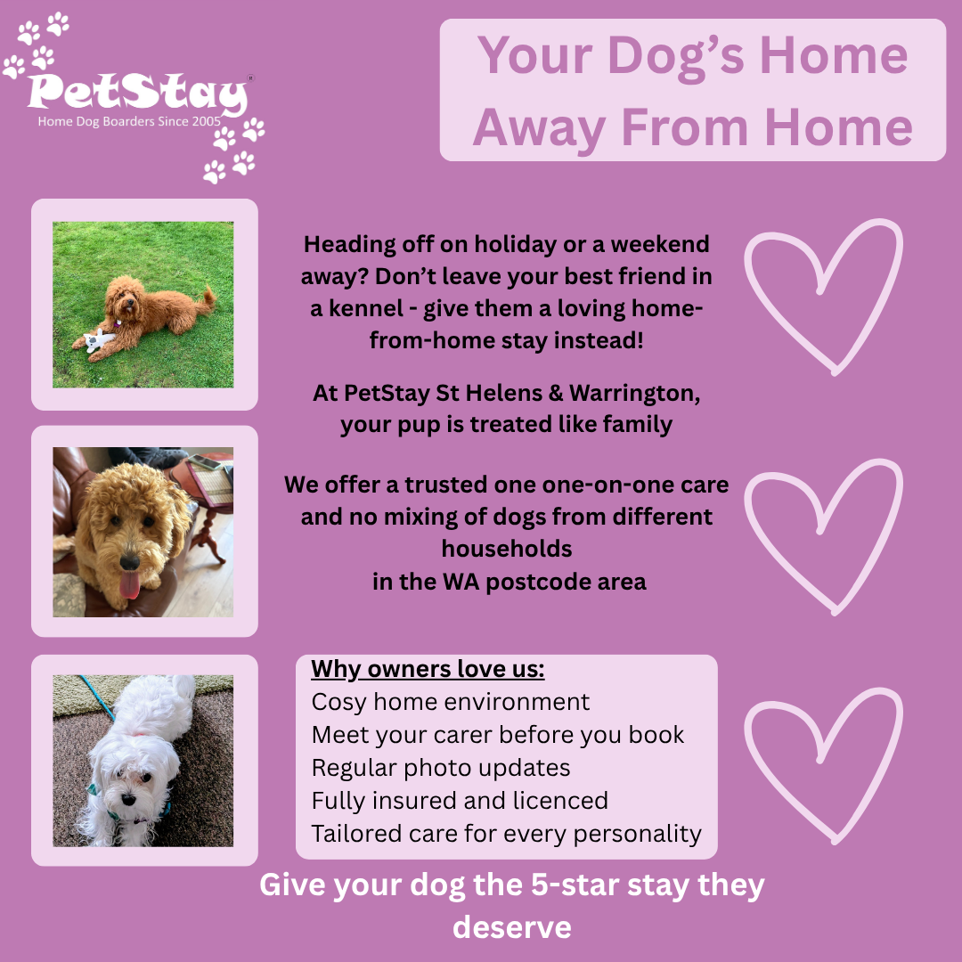 PetStay St Helens & Warrington Facebook ad: Looking for a loving home-from-home for your dog…