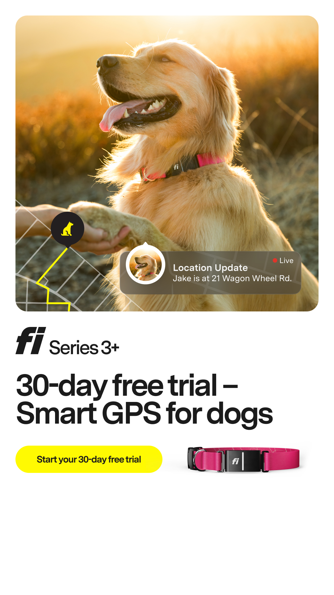 Fi Facebook ad